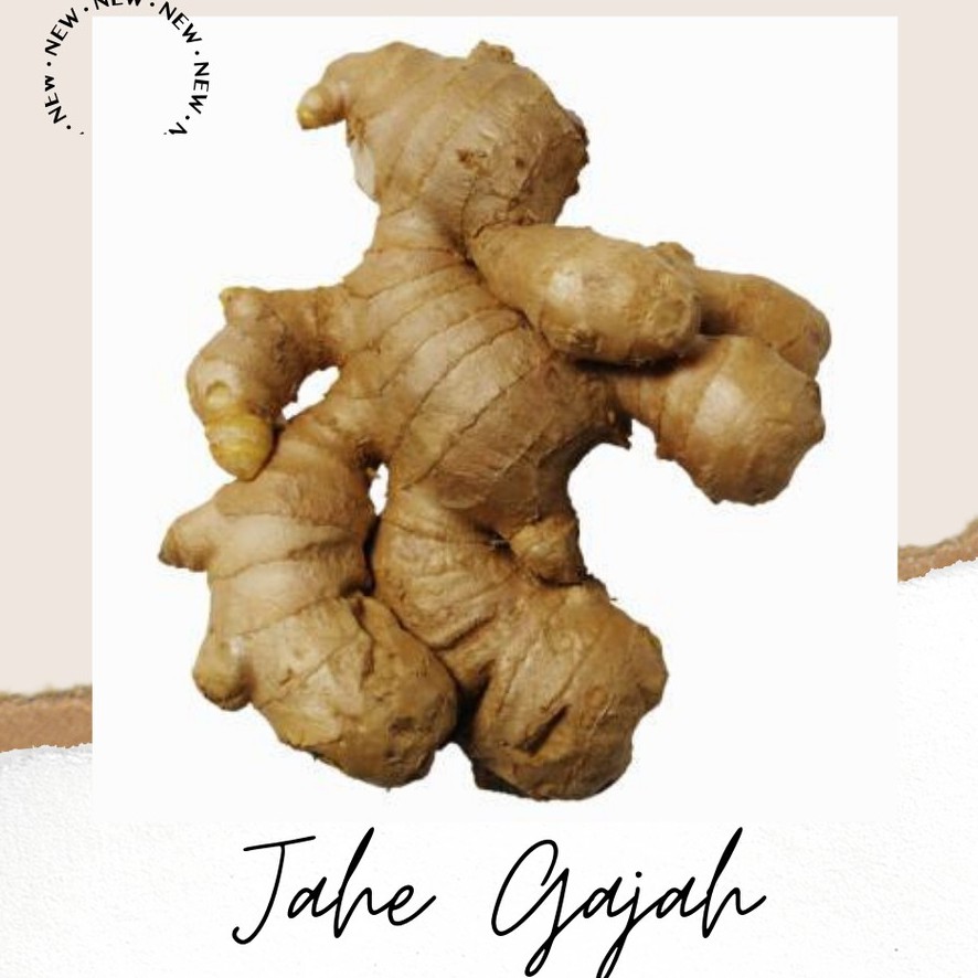 

JAHE GAJAH 500gr