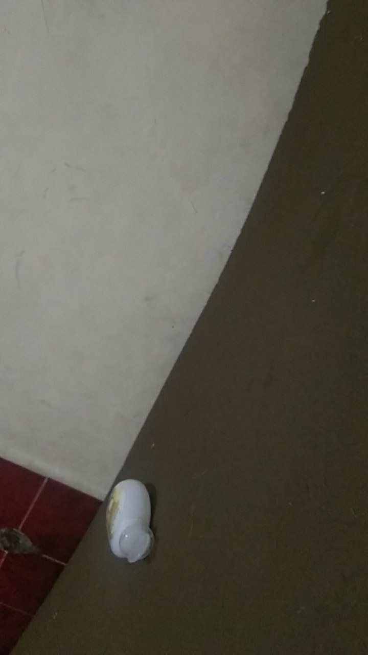 Lakban Daimaru Tape Lakban Jangan Dibanting 48 Mm X 100 Meter