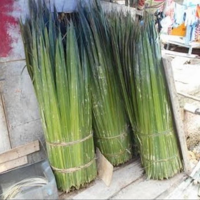 

Daun Dahon Nipah Rumbia Lembaran/Gulung (10kg) Murah