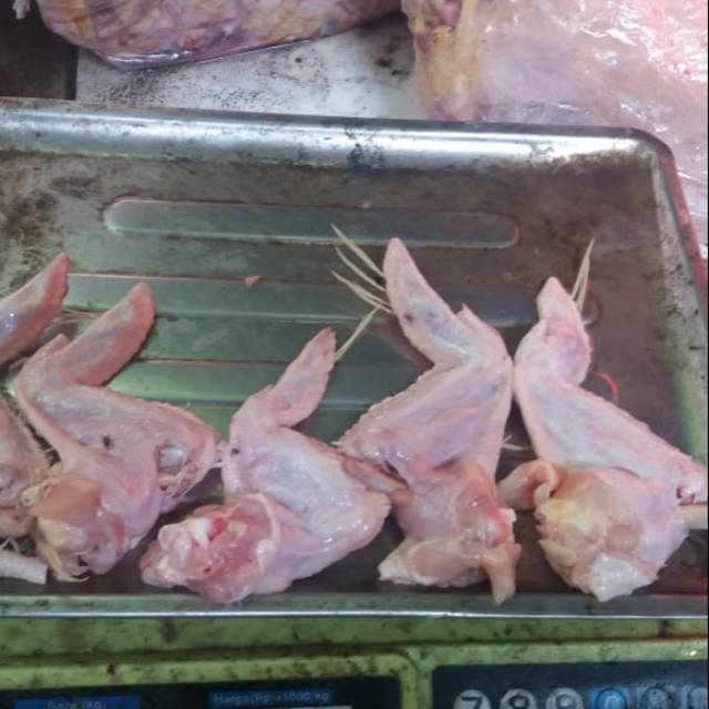 

Sayap ayam patah fress