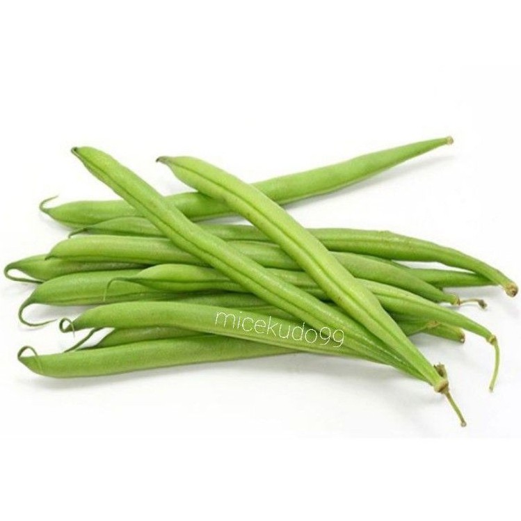 

SAYUR BUNCIS ORGANIK SEGAR 500GR / ORGANIC GREEN BEAN FRESH