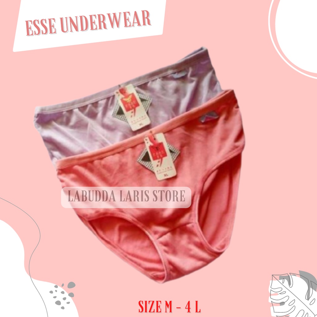 12 PCS Celana Dalam Wanita Dewasa Lusinan CD Waniita Sempak Cewek 1 Lusin Merk Esse Underwear Bahan 