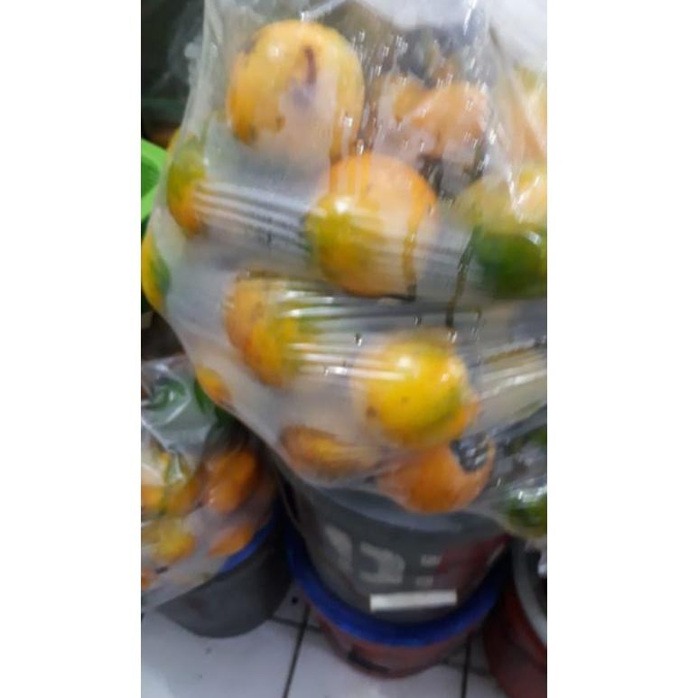 

[PRODUK TLG77] TERONG ASAM KALIMANTAN / TERONG DAYAK QFA