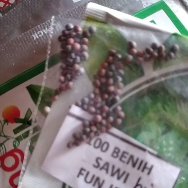 100 Benih Sawi hijau Fun Jen KYS bibit tanaman sayur ...