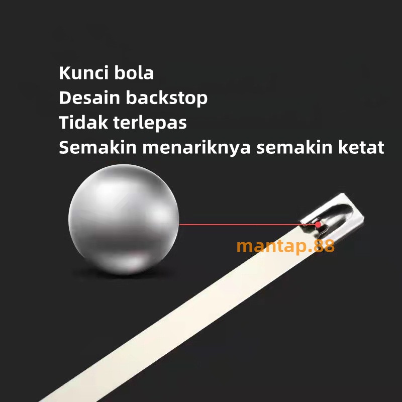 Kabel Ties/Kabel Tis Stainless SS304 10cm/20cm/30cm/40cm Exhaust/Knalpot Motor Mobil Anti Karat