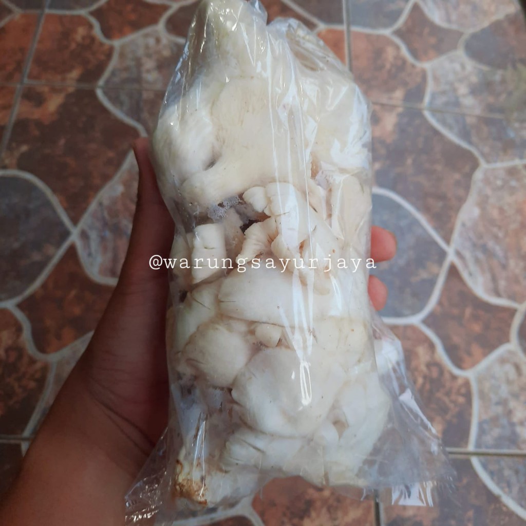 

Jamur Tiram Putih 250 gram