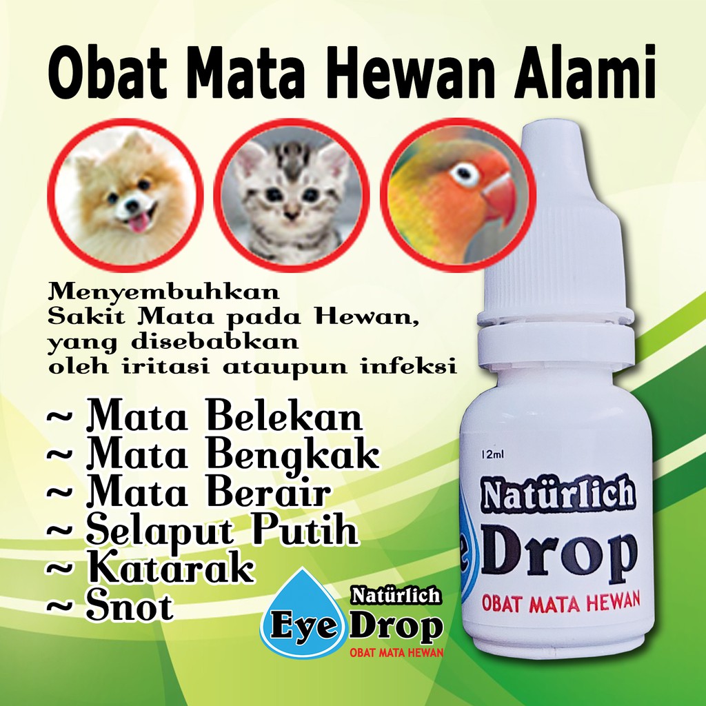 Serum Mata Obat Mata Hewan Anjing Kucing Burung ALAMI dan AMAN