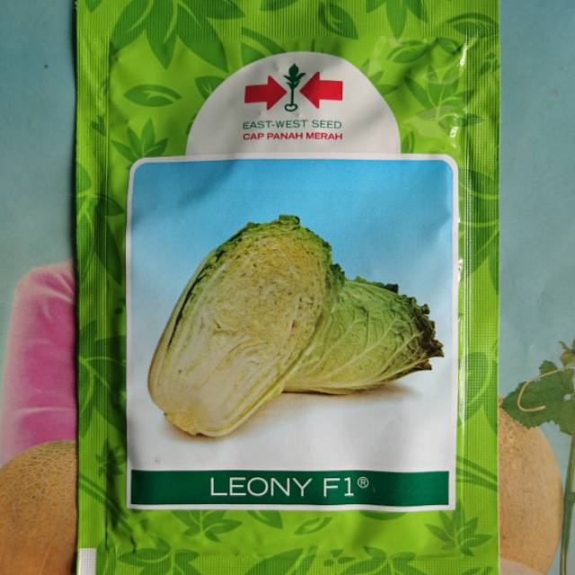 Benih Bibit Sawi Putih Hibrida LEONY F1 10gr