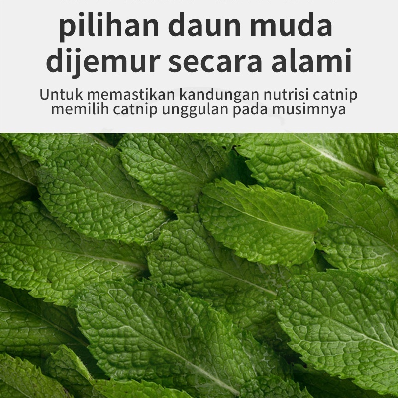 Catnip catmint kucing snack mint powder snack hewan peliharaan kucing pelengkapan