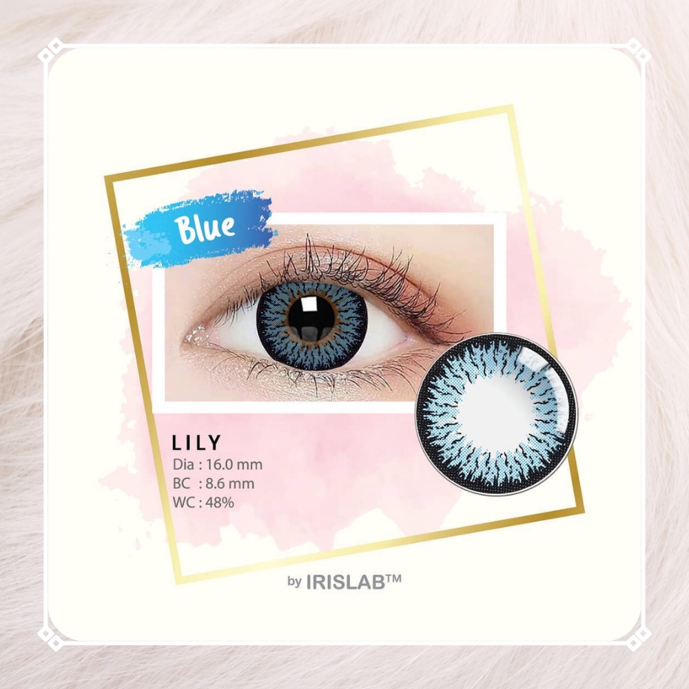 SOFTLENS LILY NORMAL BY IRIS LAB