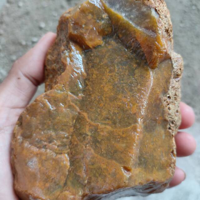 ( LANGKA ) Lumut Kuning Tapan ( Rough / Bahan Batu Akik Natural - bukan bacan )