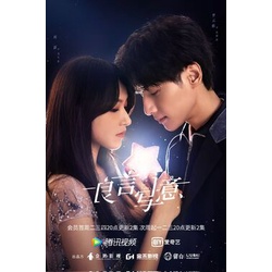 DVD Lie to Love