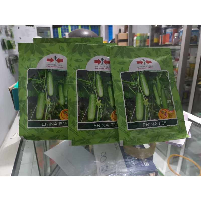 Murah Benih mentimun Erina F1