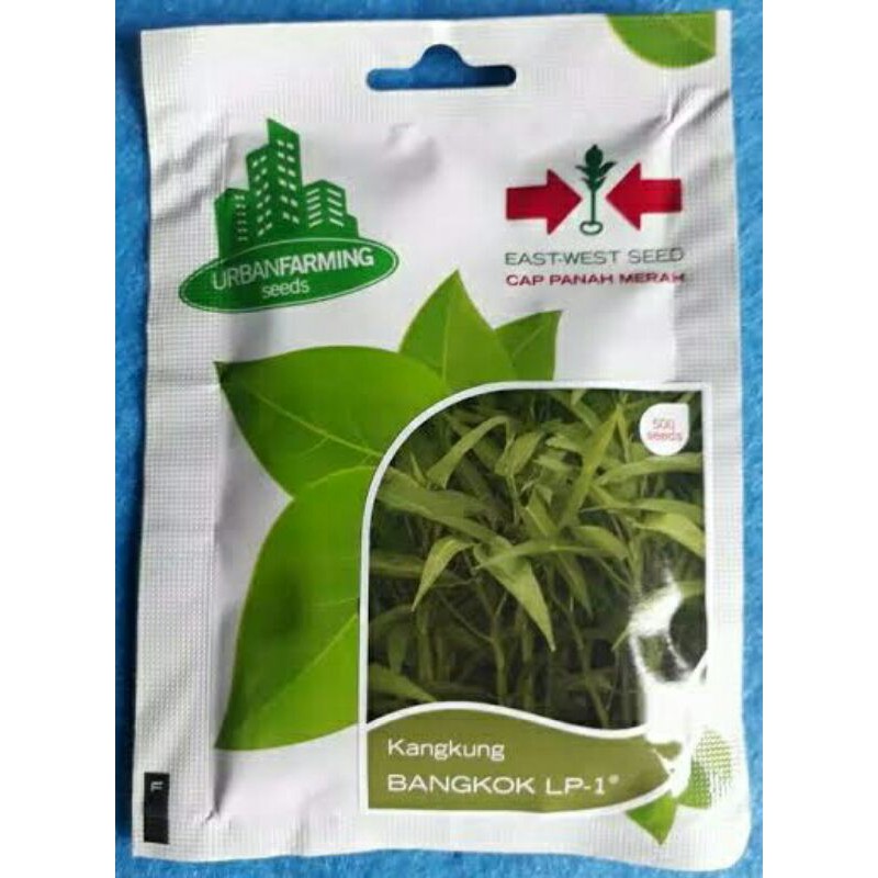 BENIH BIBIT KANGKUNG BANGKOK LP-1