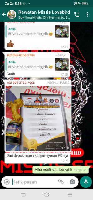 ady78 Pakan Lovebird Konlset Milet Mistis Lovebird Sesajen pakan Lomba Lovebird