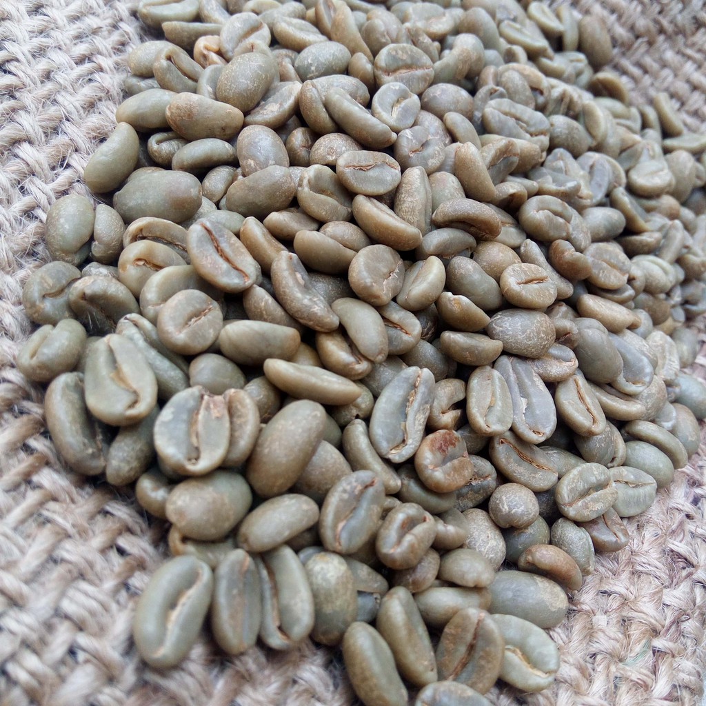 

Kopi Organik Green Beans Kopi Organik Robusta Gunung Arjuno