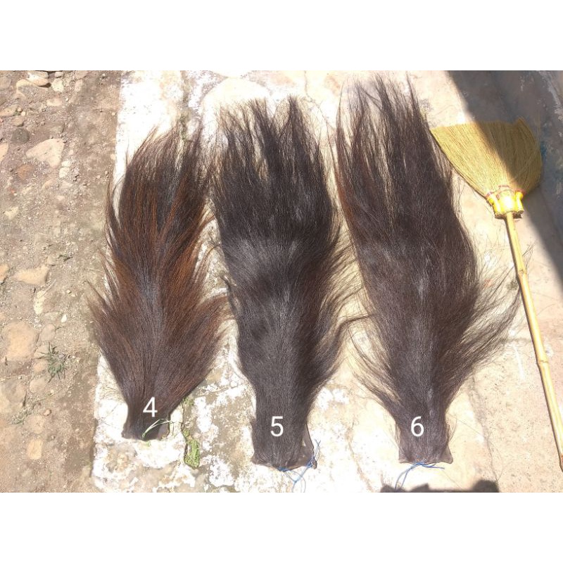 ekor kuda super,dikirim sesuai gambar