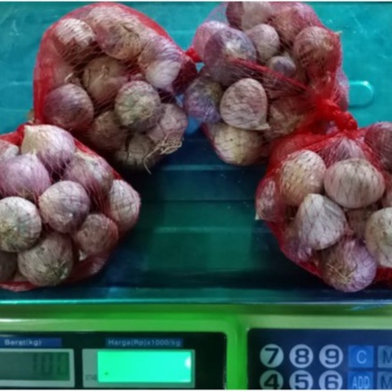

Bawang Putih Tunggal Lanang 500 gram