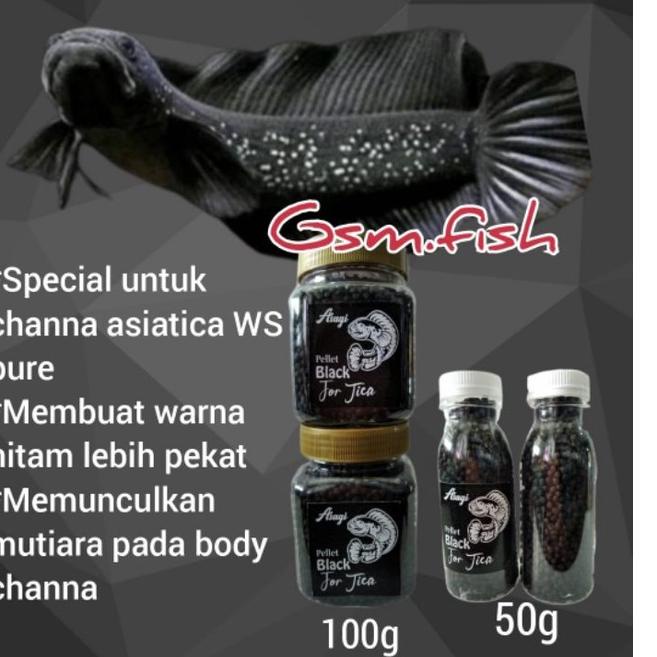 【rPX】 pelet channa asagi black for tica pakan channa asiatica ws pure asiatica white spot Star