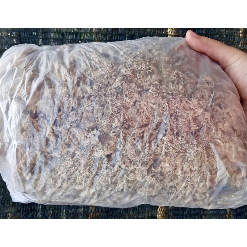 Moss Putih (Spagnum Moss) 100gram