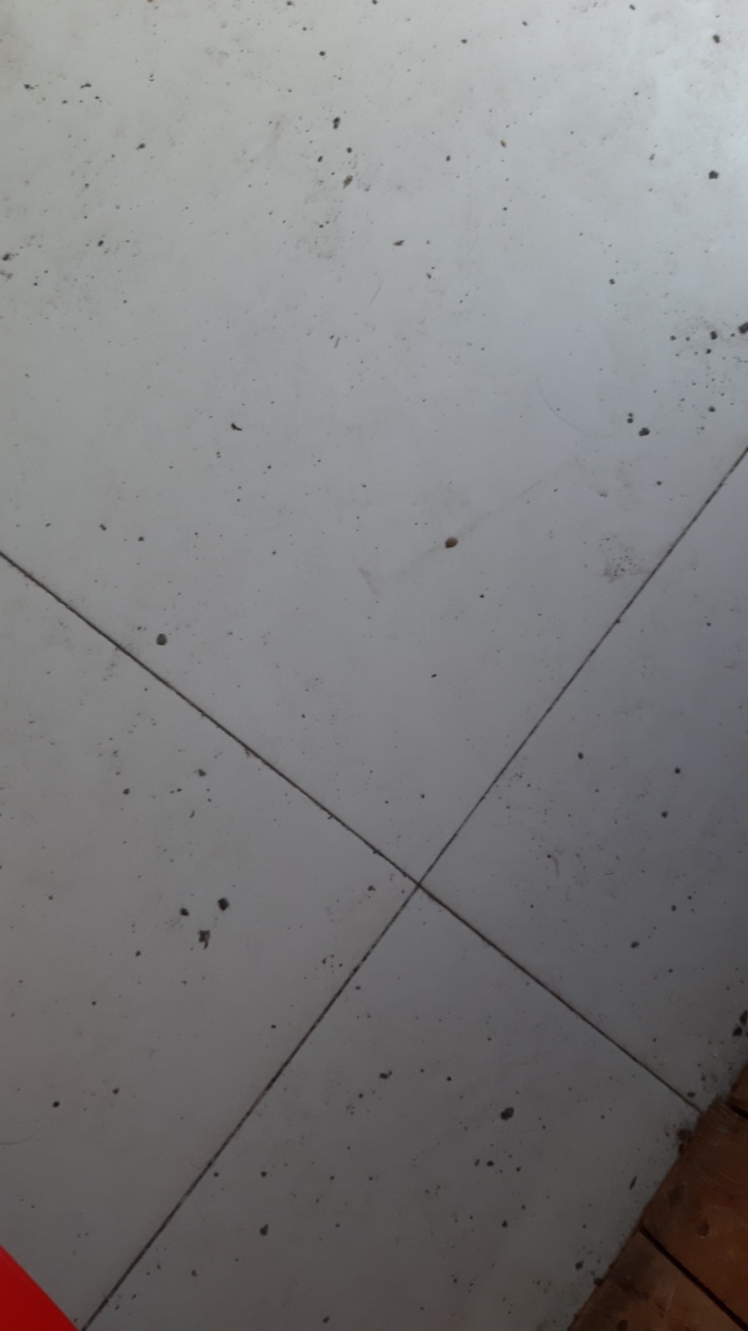 [300 Gram] Kotak Sepatu Tebal Lipat / Box Sepatu Lipat / Kotak Sepatu Transparan Cod