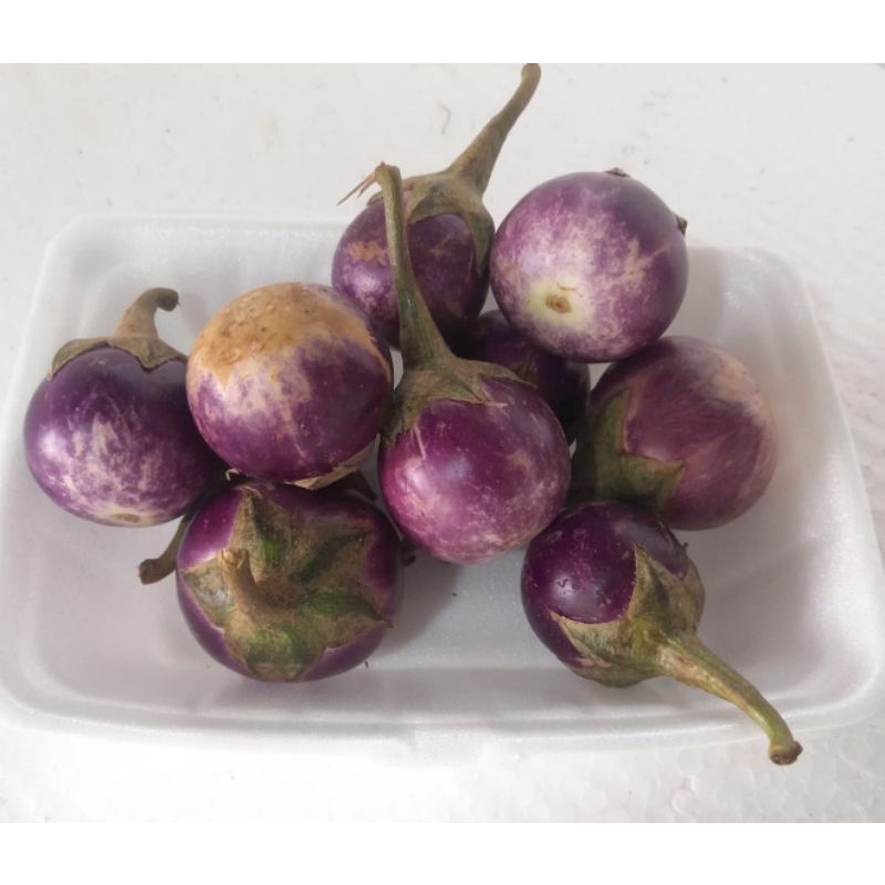 

Terong ungu bulat pres 500 g