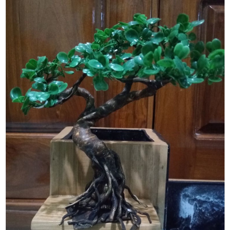 ID BONSAI AQUARIUM / BONSAI AQUASCAPE / HIASAN AQUARIUM