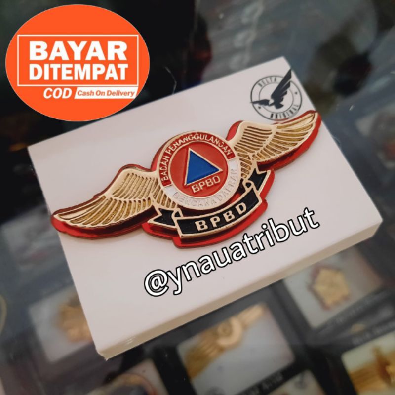 PIN BPBD / WING BPBD