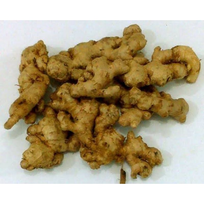 

jahe emprit 250 gram