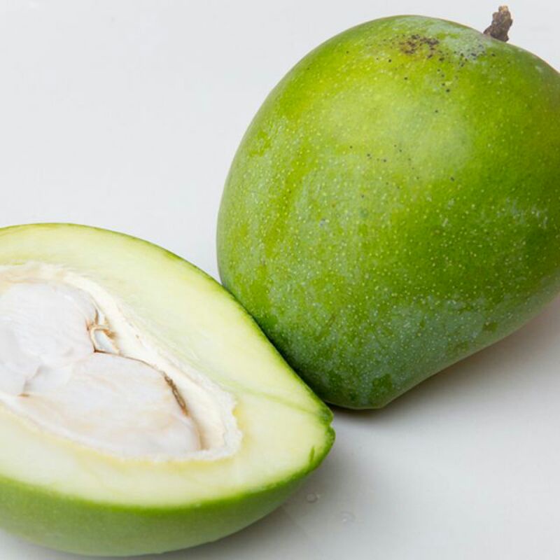

Mangga muda belah biji paket 5 kg
