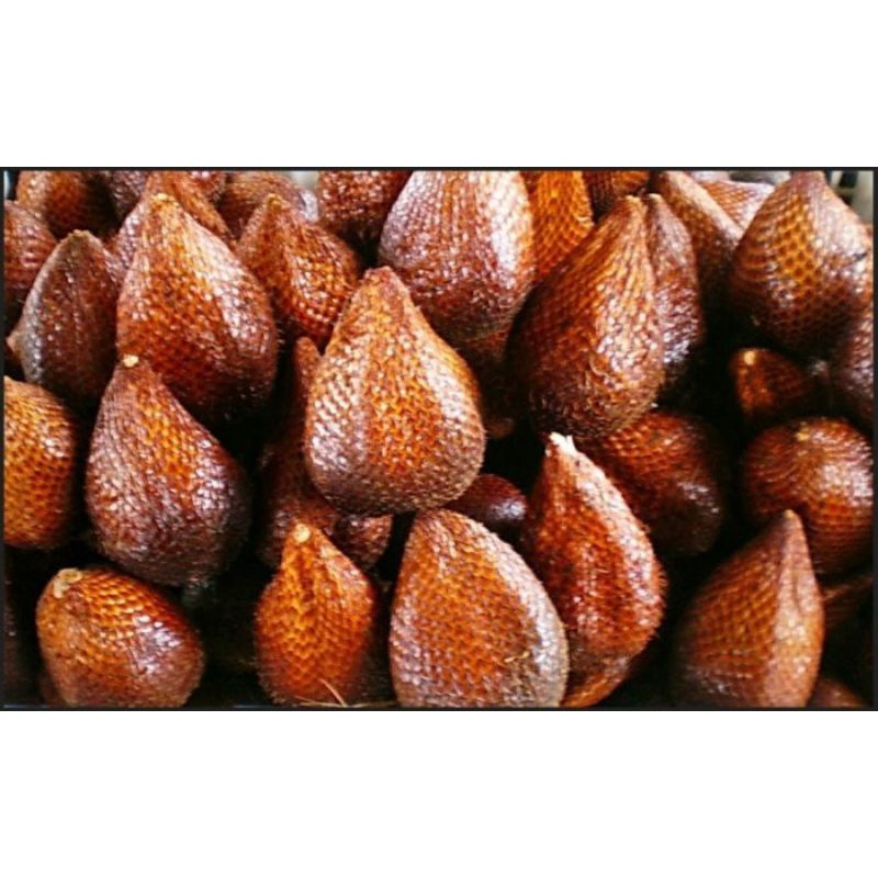 

salakpondohbanjarnegaramanis