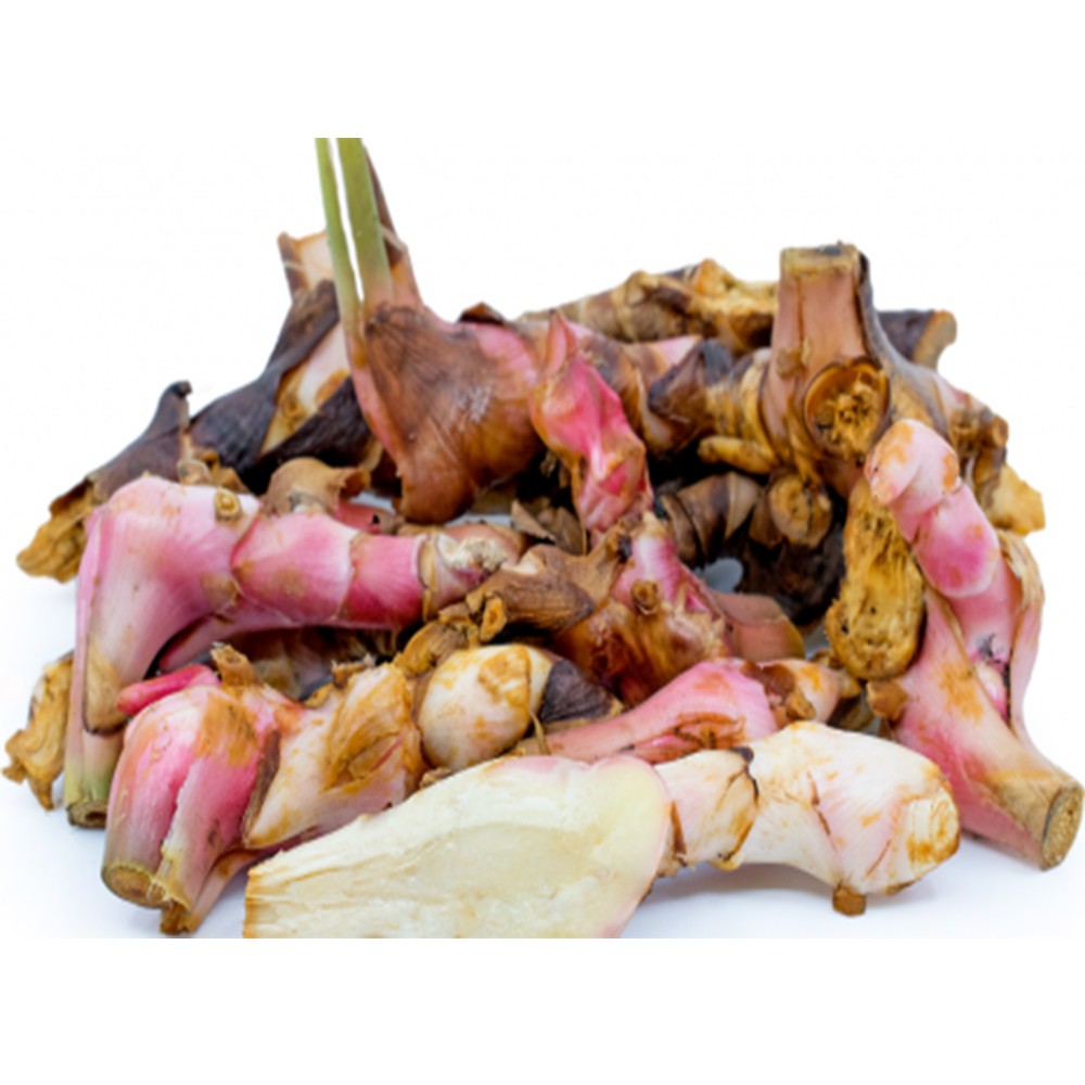 

LENGKUAS LAOS 1000GR JAMU REMPAH EMPON EMPON BUMBU DAPUR KESEHATAN HERBAL