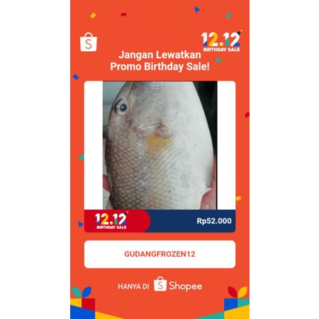 

ikan etong/ikan ayam ayam