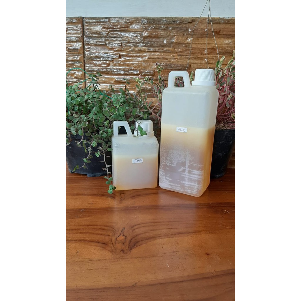 

Promo madu nektar randu premium asli 1kg