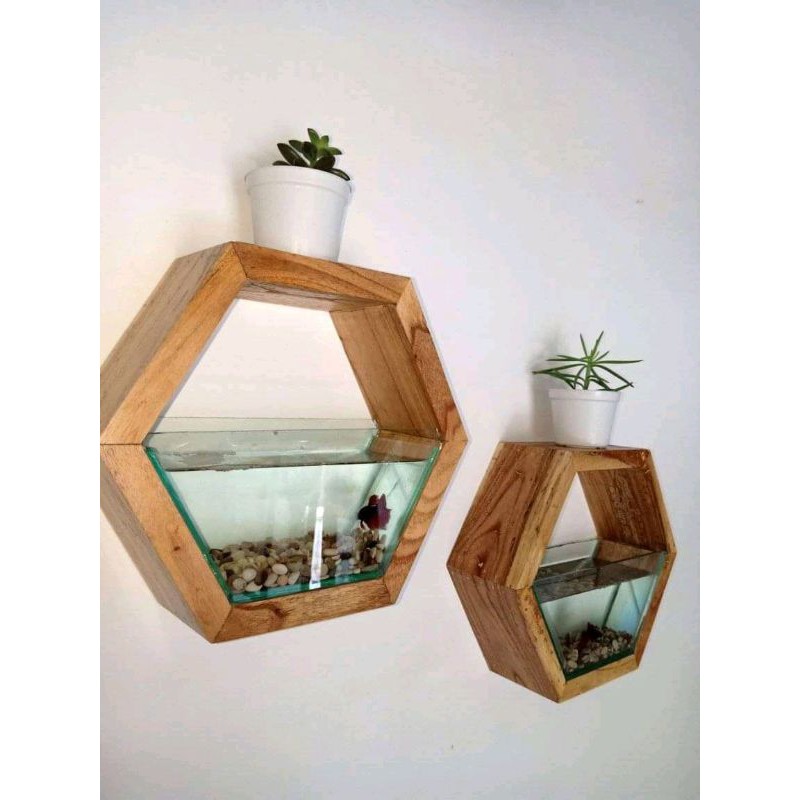 Aquarium mini ikan cupang unik bisa digantung dengan bentuk segi enam