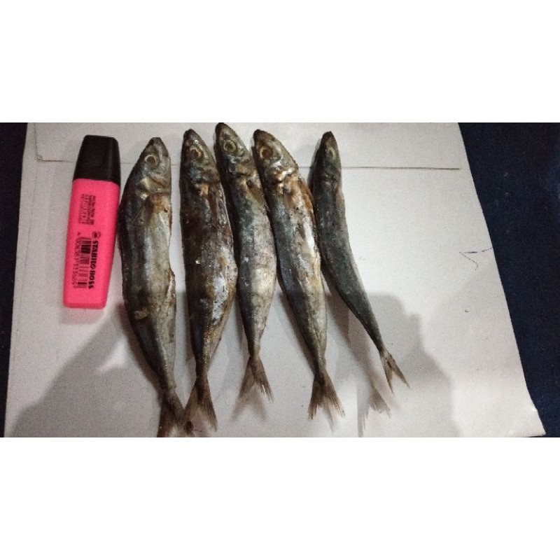 

ikan pedo/ikan peda/ikan asin 1kg