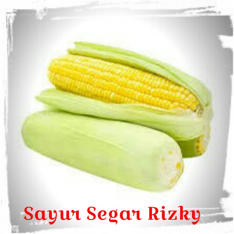 

[NAIK HARGA] Jagung Manis Kulit