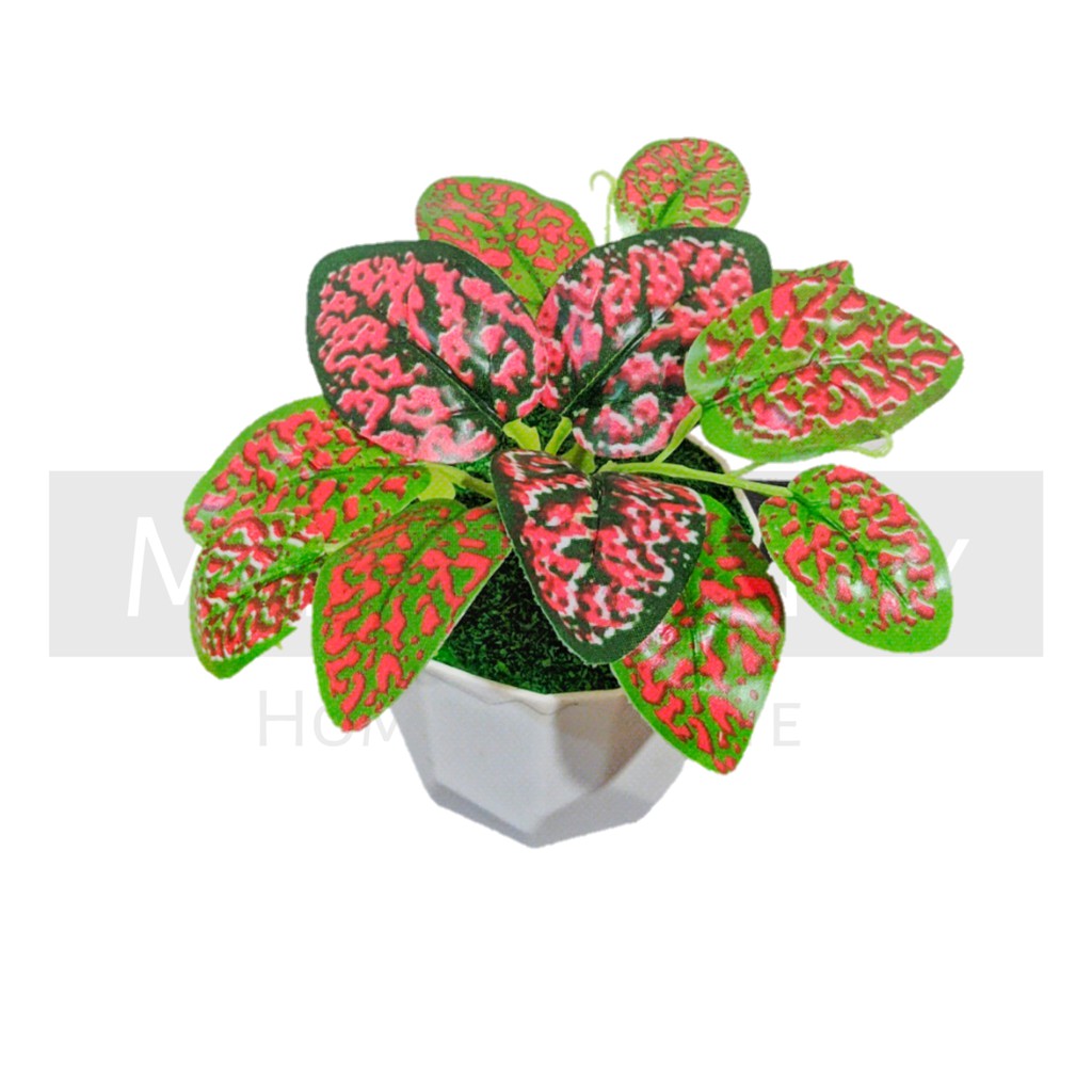 TANAMAN BUNGA ARTIFICIAL BUNGA HIAS DEKORASI HIASAN RUMAH BUNGA PLASTIK MURAH BUNGA AGLONEMA MINI-KD-002