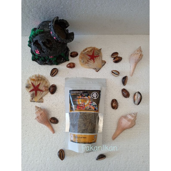 Maggot BSF Grade A ++ El Barca All Basic Color Booster Pakan Channa Cana Chana Ulat Hongkong Elbarca