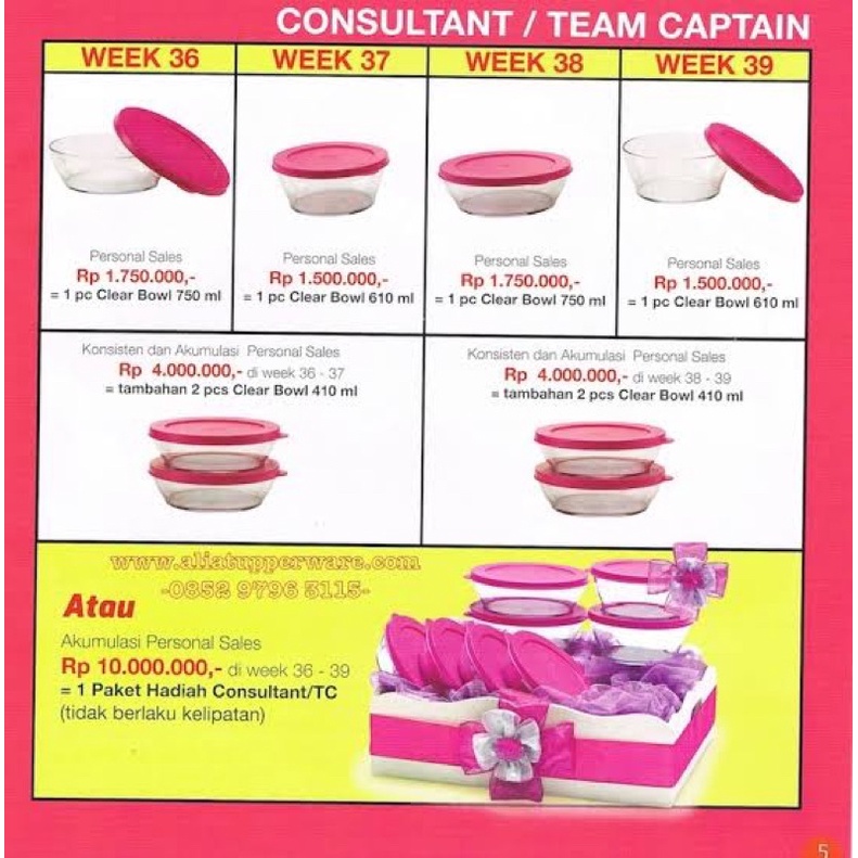 TUPPERWARE CLEAR BOWL