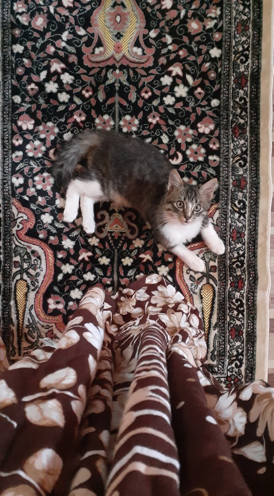 Baju Batik Ayah Anak Motif Abri Original Terbaru Batik Anak Terlaris