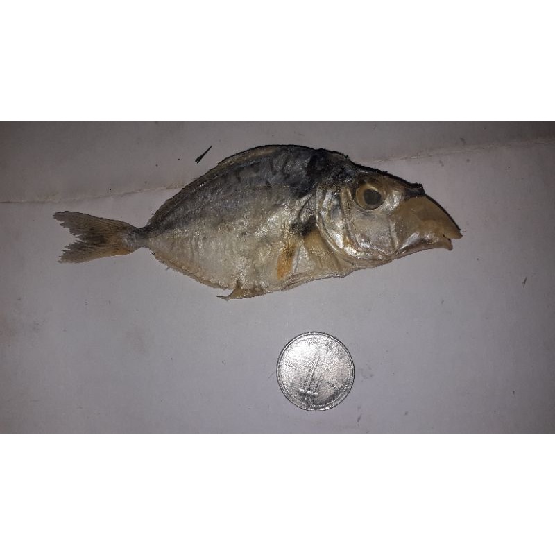 

Ikan Asin Petek
