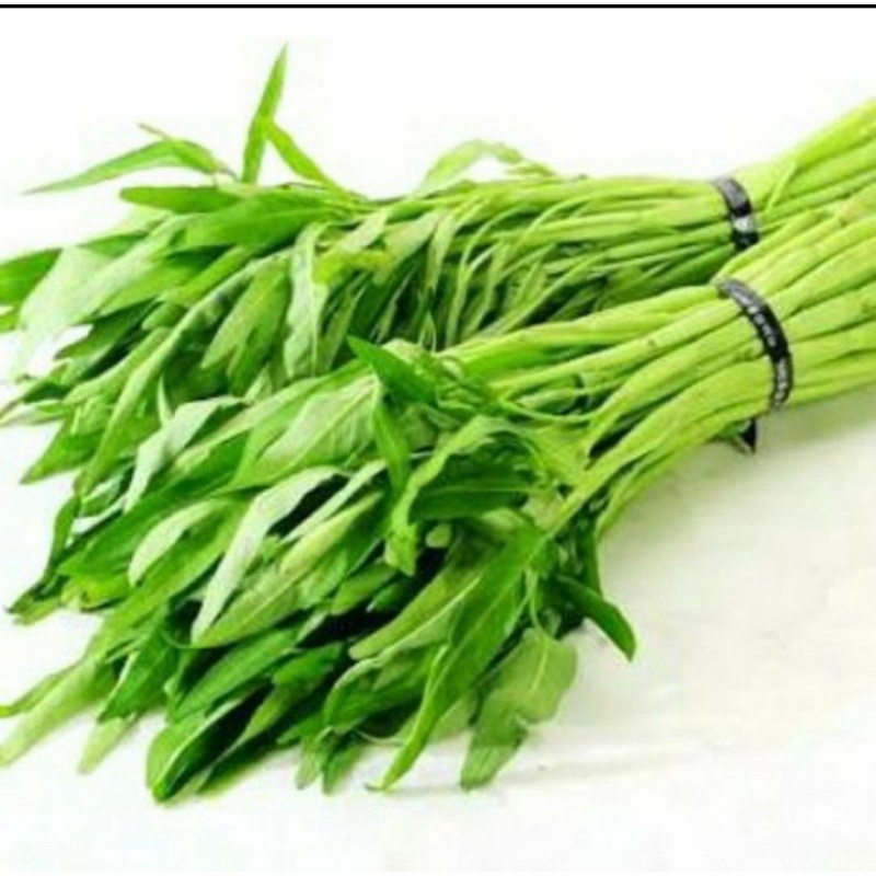 

kangkung segar per ikat