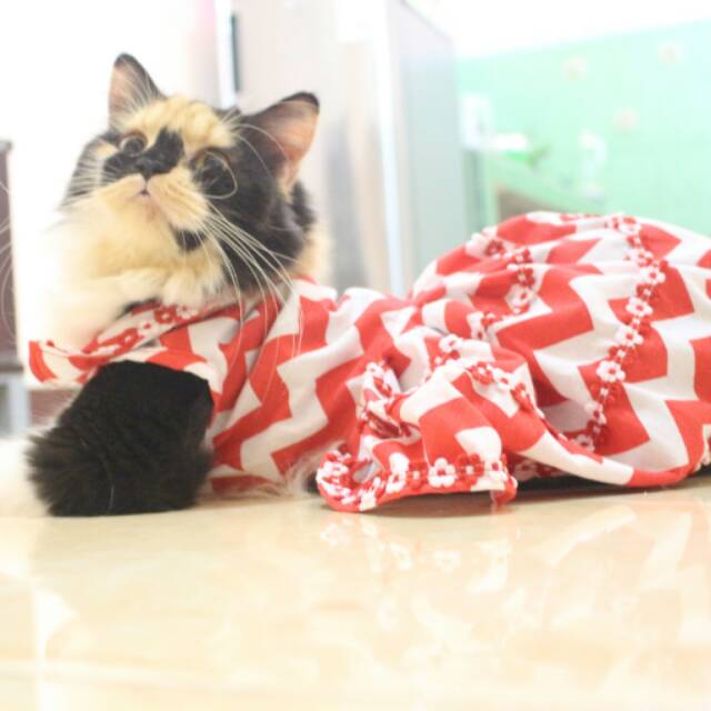 Simple dress motif zig zag untuk kucing dan anjing / baju kucing / dress kucing murah