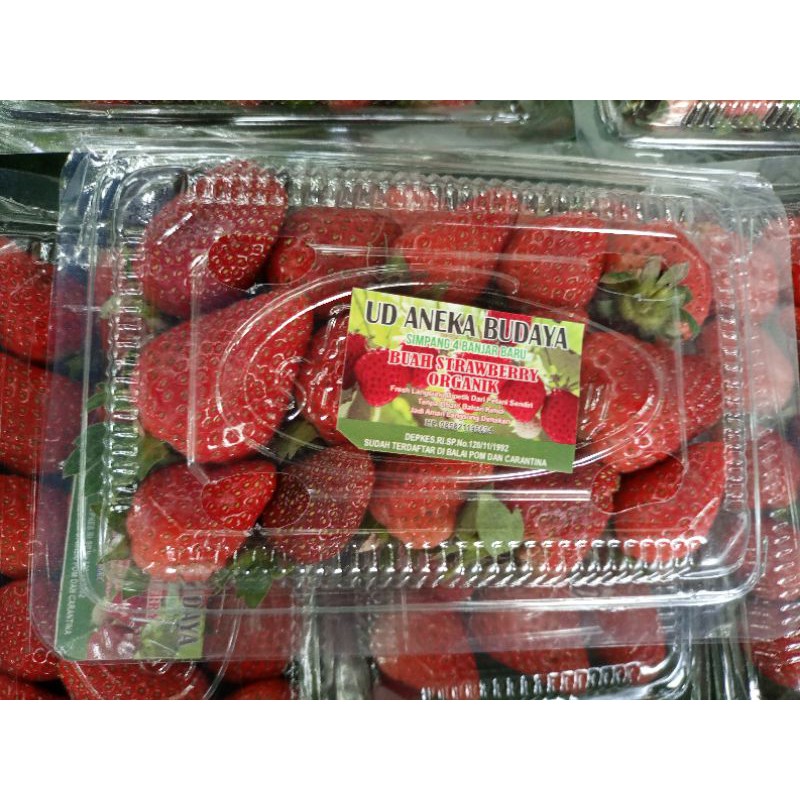 Jual Buah Strawberry Organik Fresh 1 Pack | Shopee Indonesia