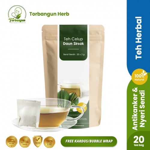 

Minuman Obat Diabetes dan Anti Kanker Teh Celup Daun Sirsak
