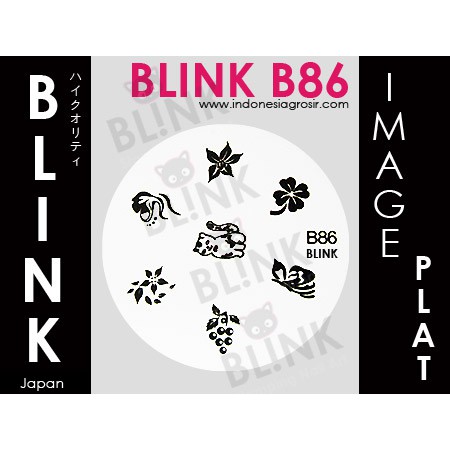 BLINK Image Plate B82 - B91