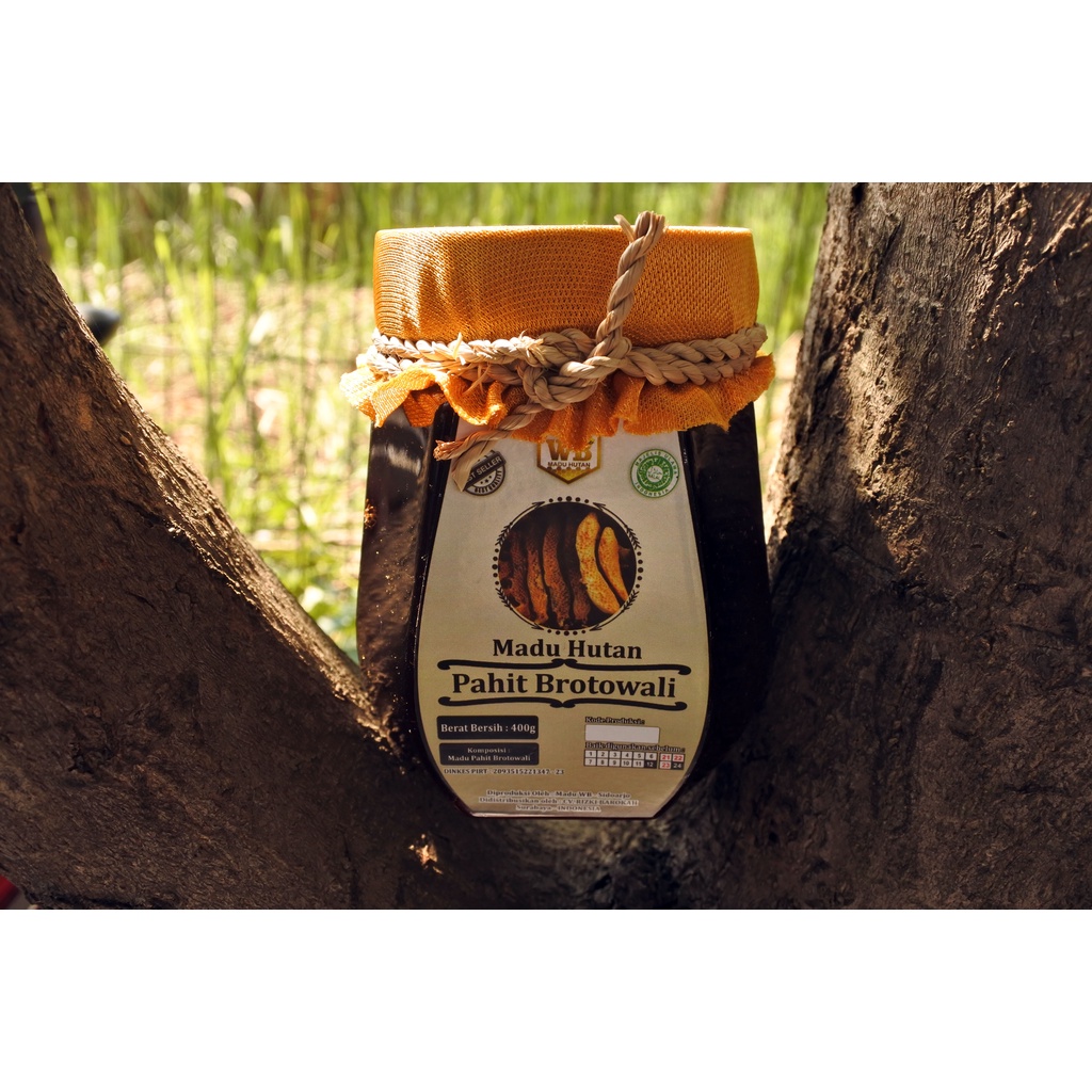 

Madu Pahit Brotowali / Lebah Apis Dorsata -Garansi Murni & Asli 100%-Wild Bee-Kemasan Ekonomis