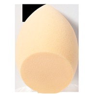 

glamfixFabulousBeautySponge