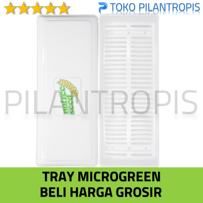 GROSIR TRAY SEMAI MICROGREEN HIDROPONIK